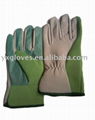 Garden & Safty gloves