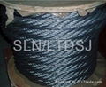 Steel Wire Rope