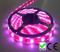 Multi-Color Flexible Decoration 5050 LED Strip Light