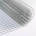 Welded  wire mesh