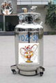 30L Self-Pressurizing Liquid Nitrogen Cylinder 1