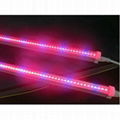 T5 Integrative LED Grow Light Tube