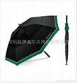 BMW golf umbrella 1