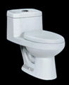 Siphonic One-piece Toilet 1