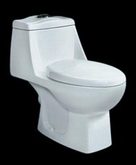 Washdown One-piece Toilet