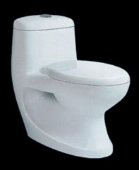 Washdown One-piece Toilet(P-TRAP)