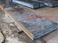 mould steel (DC53)