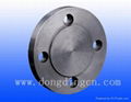 Blind Flange