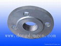 Steel Threaded Flange