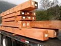 mahogany wood for sale at cheaper price 1