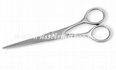 Barber Scissor