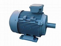 MS series aluminum housing Three phase motors