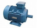 Y3 Series three-phase induction motor 1