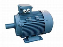 Y2 series three-phase induction motor