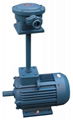 YBF2-A series explosion-proof motor