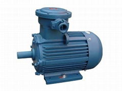 YB2 Series Explosion-Proof Three Phase Induction Motor