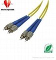 fiber optic cord