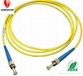 fiber optic cord  2