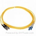 fiber optic cord