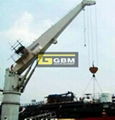 Cylinder-luffing Cargo Crane