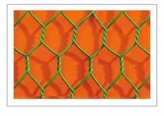 Hexagonal wire netting