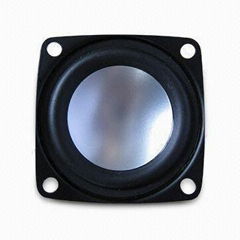 53mm Tweeter with 4Ω Impedance and 10W Power