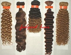 Human Remy Hair Extension