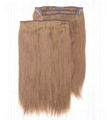 Clip in hair weft 1