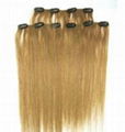 Clip in hair weft 2