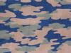 Sell pigment camouflage printed denim fabric