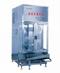 Bagged Water Filling Machine