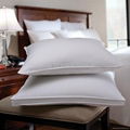 EPE PILLOW 1