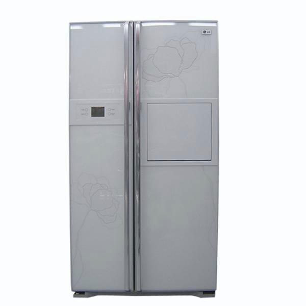 frigerator mould