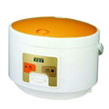 electric cooker mould 3