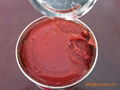 tomato paste