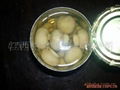 Canned mushroom 2