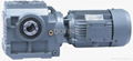 Helical Worm Geared Motor 