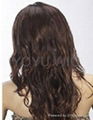 SYNTHETIC WIG 2