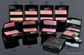 discount wholesale 2011 newest mac blush