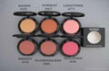 2011 newest wholesale mac blush with many colors 2