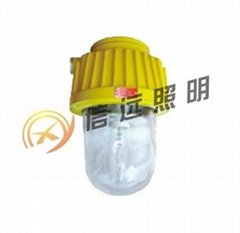 XY-BPC8730防爆平臺燈