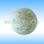 mould for shower head        