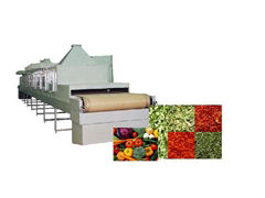 Microwave Vegetable Drying Equipment