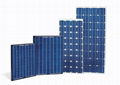 Poly Solar module 250W 1
