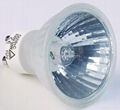 halogen bulb 2