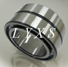 Full Complement Cylindrical Roller Bearing 3