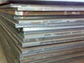 Hot rolled products of structural steels