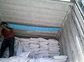 container absorbent for shipping 1