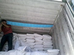 container absorbent for shipping