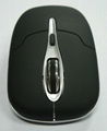 Computer Mouse 2